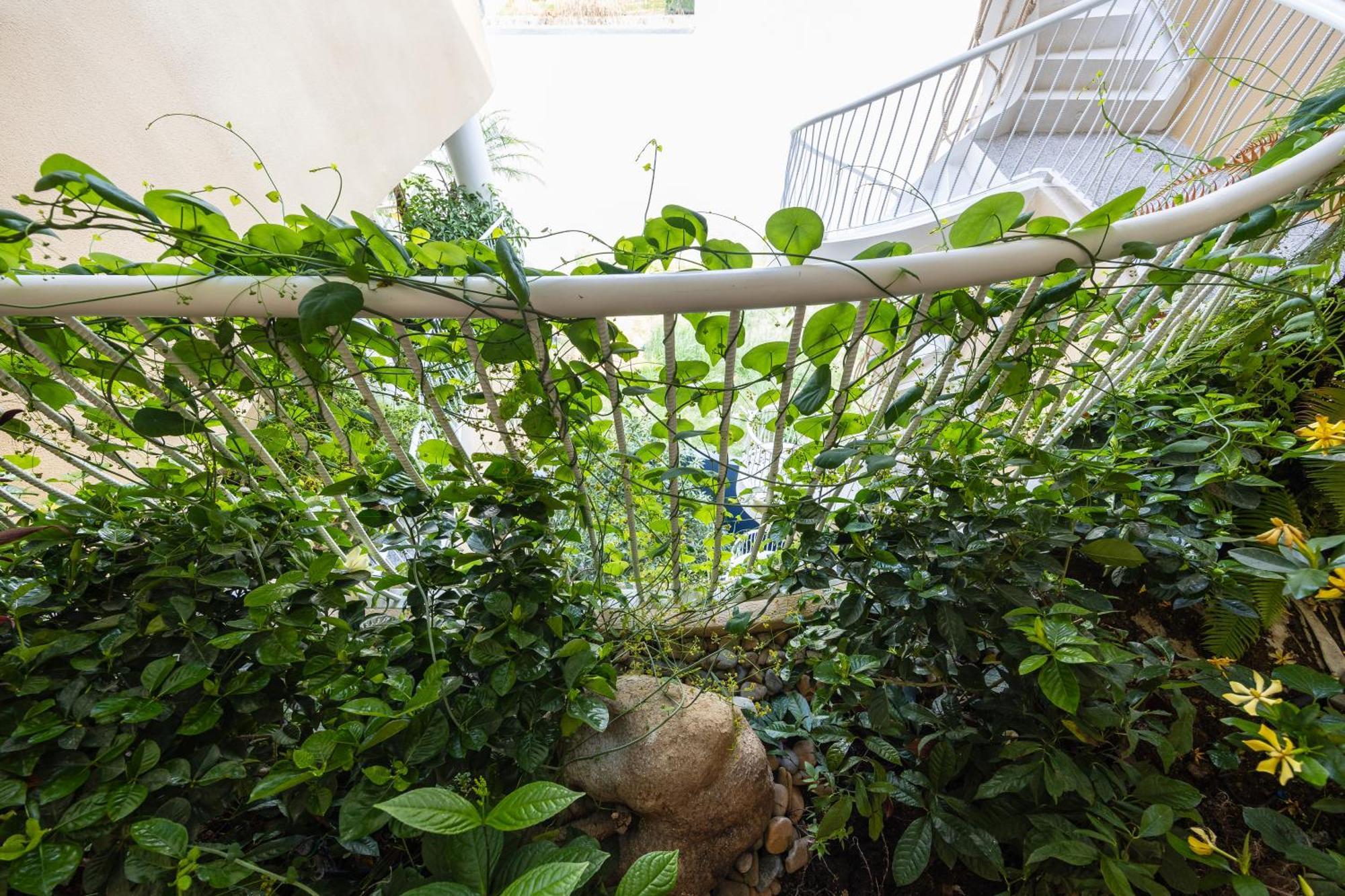 Saha Casa Boutique Hotel Đà Nẵng Kültér fotó